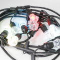 LS-162   LED cafe holiday string lights